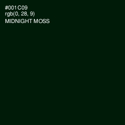 #001C09 - Midnight Moss Color Image